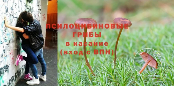 гашиш Верея