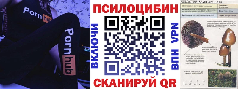 Галлюциногенные грибы Cubensis  купить   Керчь 